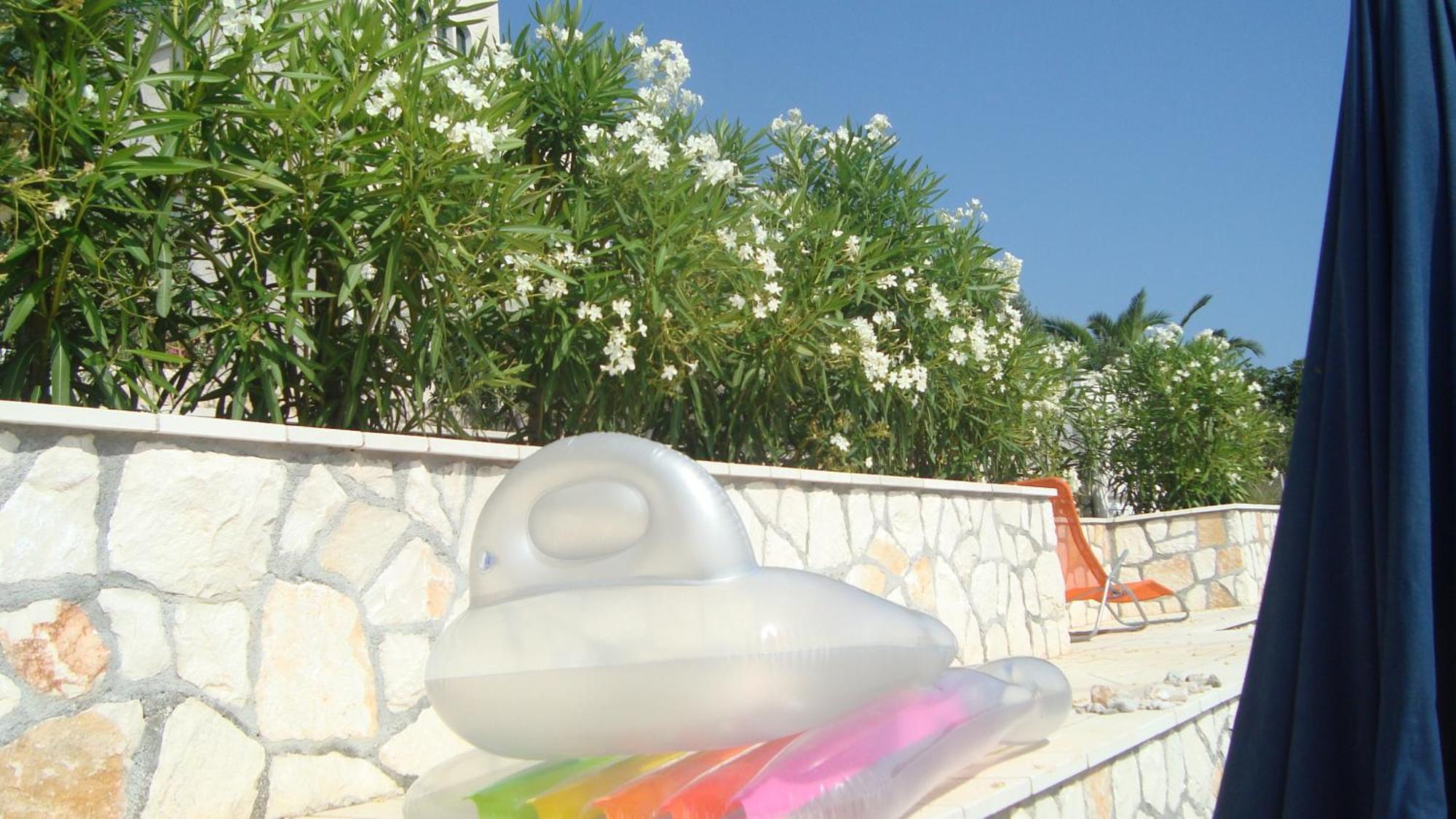Apartments Niana With Heated Seawater Swimingpool Donji Okrug  Εξωτερικό φωτογραφία